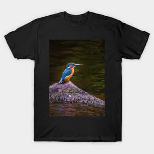 Kingfisher T-Shirt